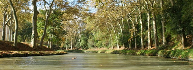 carcassonne croisiere,croisiere carcassonne canal du midi,peniche canal du midi, bateau lou gabaret,lougabaret et helios croisere commentée carcassonne,
	promenade bateau carcassonne,carcassonne balade canal du midi,promenade bateau canal du midi carcassonne,visite canal du midi carcassonne,restaurant péniche carcassonne,canal du midi,
	croisiere repas à carcassonne,carcassonne croisiere - lou gabaret et helios,croisière repas,repas fluvial sur le canal du midi,Croisière repas fluviale Carcassonne,
	Port Fluvial De Carcassonne,Croisière à prix discount‎ carcassonne, croisière repas départ de carcassonne,bateau carcassonne, promenade bateau carcassonne,carcassonne repas canal du midi,
	repas canal du midi carcassonne,repas promenade bateau canal du midi carcassonne,lou gabaret canal midi, bateau carcassonne,promenade bateau carcassonne,carcassonne balade canal du midi,
	visite canal du midi carcassonne,promenade bateau canal du midi carcassonne,lou gabaret canal midi,croisiere sur canaux,croisiere canal midi,croisiere repas canal du midi carcassonne,
	ballade fluviale carcassonne,mini croisiere canal du midi,visite canal du midi carcassonne,restaurant peniche canal du midi,promenade en peniche sur le canal du midi,
	canal du midi en péniche carcassone, bateaux helios et lou gabaret,croisière sur les canaux,croisière canal du midi départ carcassonne,croisières canal du midi carcassonne,
	croisière sur le canal du midi carcassonne,croisières carcassonne,croisière carcassonne,croisière canal du midi carcassonne,carcassonne croisière,croisière canal,
	croisière fluviale france,vacances fluviales,tourisme fluvial carcassonne,tourisme fluvial carcassonne,tourisme fluvial carcassonne,croisiere fluviale carcassonne,
	navigation fluviale carcassonne,tourisme fluvial canal du midi carcassonne,le canal du midi,sur le canal du midi,le canal du midi,balade en bateau sur le canal du midi,
	balades sur le canal du midi,balade sur le canal du midi,balade en bateau canal du midi carcassonne,balade sur les canaux,canal du midi balade en bateau,balade bateau canal du midi,
	balade canal du midi,balade canal du midi carcassonne,balade canal du midi carcassonne,canal du midi balade,croisière sur canal du midi,croisière sur le canal du midi carcassonne,
	croisière sur le canal du midi,croisières sur le canal du midi,croisière canal du midi,croisières canal du midi carcassonne,canal du midi croisière,croisière fluviale canal du midi,
	croisière canal du midi carcassonne,Croisières Balades Promenades et Pique-nique sur le Canal du midi à Carcassonne