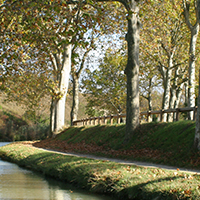 carcassonne croisiere,croisiere carcassonne canal du midi,peniche canal du midi, bateau lou gabaret,lougabaret et helios croisere commentée carcassonne,
	promenade bateau carcassonne,carcassonne balade canal du midi,promenade bateau canal du midi carcassonne,visite canal du midi carcassonne,restaurant péniche carcassonne,canal du midi,
	croisiere repas à carcassonne,carcassonne croisiere - lou gabaret et helios,croisière repas,repas fluvial sur le canal du midi,Croisière repas fluviale Carcassonne,
	Port Fluvial De Carcassonne,Croisière à prix discount‎ carcassonne, croisière repas départ de carcassonne,bateau carcassonne, promenade bateau carcassonne,carcassonne repas canal du midi,
	repas canal du midi carcassonne,repas promenade bateau canal du midi carcassonne,lou gabaret canal midi, bateau carcassonne,promenade bateau carcassonne,carcassonne balade canal du midi,
	visite canal du midi carcassonne,promenade bateau canal du midi carcassonne,lou gabaret canal midi,croisiere sur canaux,croisiere canal midi,croisiere repas canal du midi carcassonne,
	ballade fluviale carcassonne,mini croisiere canal du midi,visite canal du midi carcassonne,restaurant peniche canal du midi,promenade en peniche sur le canal du midi,
	canal du midi en péniche carcassone, bateaux helios et lou gabaret,croisière sur les canaux,croisière canal du midi départ carcassonne,croisières canal du midi carcassonne,
	croisière sur le canal du midi carcassonne,croisières carcassonne,croisière carcassonne,croisière canal du midi carcassonne,carcassonne croisière,croisière canal,
	croisière fluviale france,vacances fluviales,tourisme fluvial carcassonne,tourisme fluvial carcassonne,tourisme fluvial carcassonne,croisiere fluviale carcassonne,
	navigation fluviale carcassonne,tourisme fluvial canal du midi carcassonne,le canal du midi,sur le canal du midi,le canal du midi,balade en bateau sur le canal du midi,
	balades sur le canal du midi,balade sur le canal du midi,balade en bateau canal du midi carcassonne,balade sur les canaux,canal du midi balade en bateau,balade bateau canal du midi,
	balade canal du midi,balade canal du midi carcassonne,balade canal du midi carcassonne,canal du midi balade,croisière sur canal du midi,croisière sur le canal du midi carcassonne,
	croisière sur le canal du midi,croisières sur le canal du midi,croisière canal du midi,croisières canal du midi carcassonne,canal du midi croisière,croisière fluviale canal du midi,
	croisière canal du midi carcassonne,Croisières Balades Promenades et Pique-nique sur le Canal du midi à Carcassonne