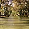 canal du midi,peniche canal du midi,hotel carcassonne,lou gabaret,lougabaret,location peniche,helios,hotel,carcassonne,festival carcassonne,hélios,canal,midi,aude,promenades,eau sud bateau,tourisme,cathare,fluviale,mouche,écluse carcassonne croisiere,croisiere carcassonne canal du midi,peniche canal du midi, bateau lou gabaret,lougabaret et helios croisere commentée carcassonne,promenade bateau carcassonne,carcassonne balade canal du midi,promenade bateau canal du midi carcassonne,visite canal du midi carcassonne,restaurant péniche carcassonne,canal du midi,croisiere repas à carcassonne,carcassonne croisiere - lou gabaret et helios,croisière repas,repas fluvial sur le canal du midi,Croisière repas fluviale Carcassonne,Port Fluvial De Carcassonne,Croisière à prix discount‎ carcassonne, croisière repas départ de carcassonne,bateau carcassonne, promenade bateau carcassonne,carcassonne repas canal du midi, repas canal du midi carcassonne,repas promenade bateau canal du midi carcassonne,lou gabaret canal midi, bateau carcassonne,promenade bateau carcassonne,carcassonne balade canal du midi,visite canal du midi carcassonne,promenade bateau canal du midi carcassonne,lou gabaret canal midi,croisiere sur canaux,croisiere canal midi,croisiere repas canal du midi carcassonne, ballade fluviale carcassonne,mini croisiere canal du midi,visite canal du midi carcassonne,restaurant peniche canal du midi,promenade en peniche sur le canal du midi,canal du midi en péniche carcassone, bateaux helios et lou gabaret,croisière sur les canaux,croisière canal du midi départ carcassonne,croisières canal du midi carcassonne,croisière sur le canal du midi carcassonne,croisières carcassonne,croisière carcassonne,croisière canal du midi carcassonne,carcassonne croisière,croisière canal,croisière fluviale france,vacances fluviales,tourisme fluvial carcassonne,tourisme fluvial carcassonne,tourisme fluvial carcassonne,croisiere fluviale carcassonne,navigation fluviale carcassonne,tourisme fluvial canal du midi carcassonne,le canal du midi,sur le canal du midi,le canal du midi,balade en bateau sur le canal du midi,balades sur le canal du midi,balade sur le canal du midi,balade en bateau canal du midi carcassonne,balade sur les canaux,canal du midi balade en bateau,balade bateau canal du midi,balade canal du midi,balade canal du midi carcassonne,balade canal du midi carcassonne,canal du midi balade,croisière sur canal du midi,croisière sur le canal du midi carcassonne,croisière sur le canal du midi,croisières sur le canal du midi,croisière canal du midi,croisières canal du midi carcassonne,canal du midi croisière,croisière fluviale canal du midi,croisière canal du midi carcassonne,Croisières Balades Promenades et Pique-nique sur le Canal du midi à Carcassonne